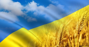 COMFY запустил украинскую версию сайта