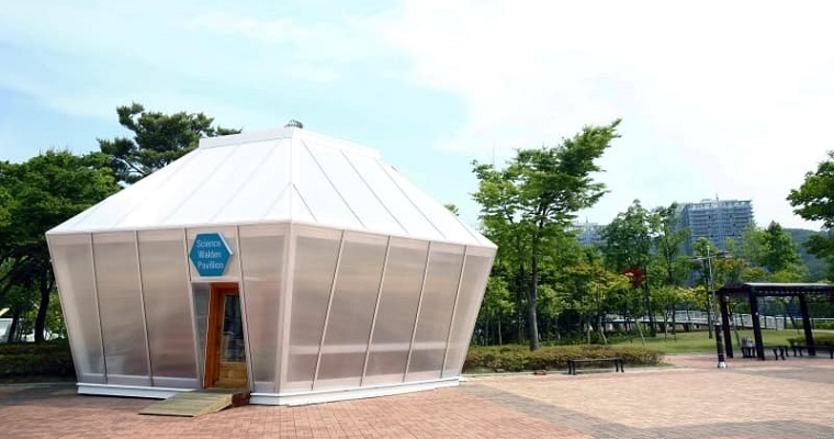 Общественный туалет в Корее платит за посещения