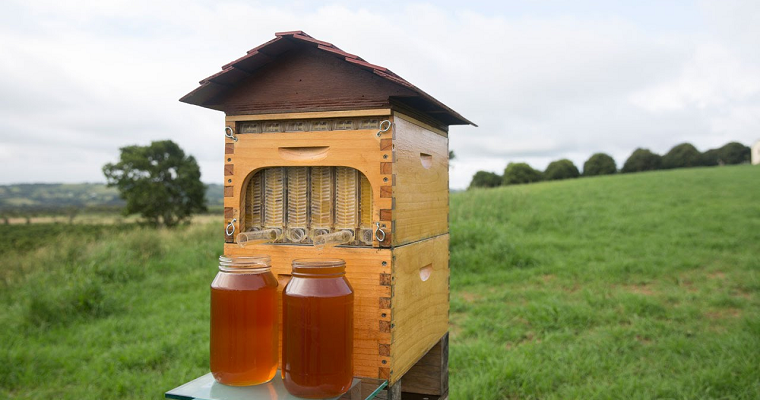 Уникальный улей, который позволяет Вам собирать мёд без каких либо дополнительных манипуляций.