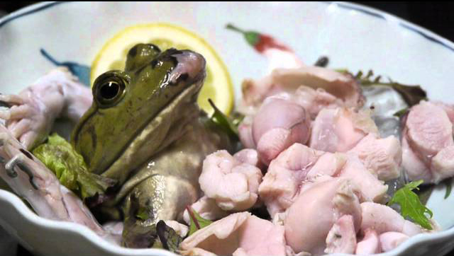 Frog Sashimi-photo