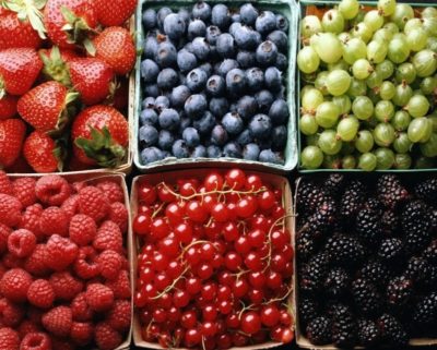Запасаемся фруктами, ягодами и зеленью до холодов: холодильники с объёмными морозилками