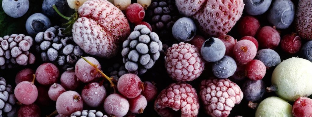 Лучшие морозильные камеры для хранения замороженных фруктов