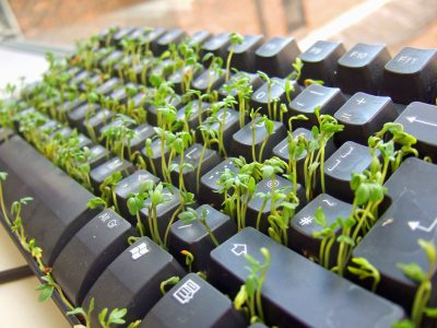 Навіщо потрібне чищення клавіатури