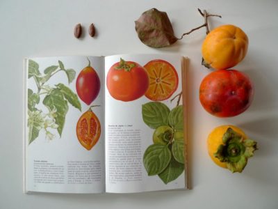 Описание вида в книге и ягоды разных сортов на столе