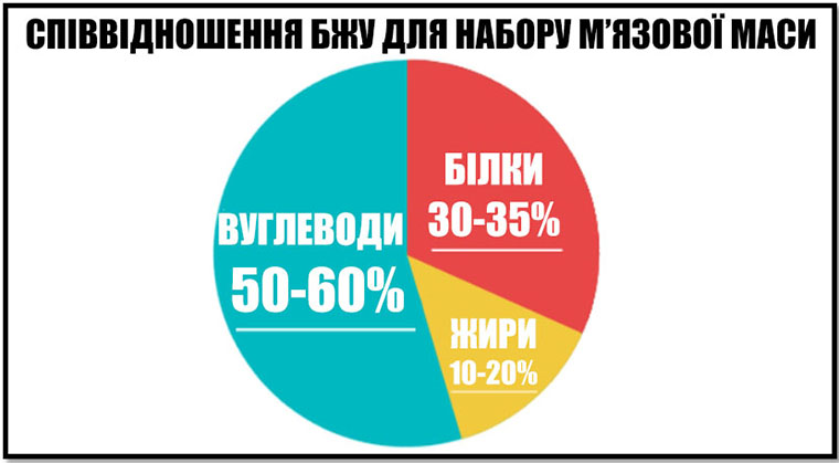 Співвідношення БЖУ