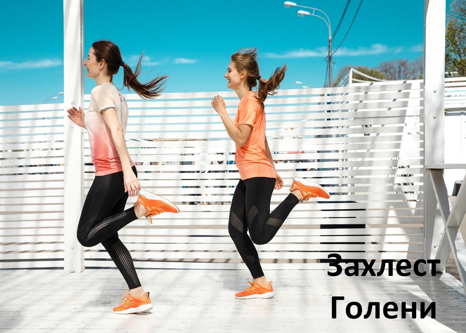 Equipoise � ������ �����-���������: ����.