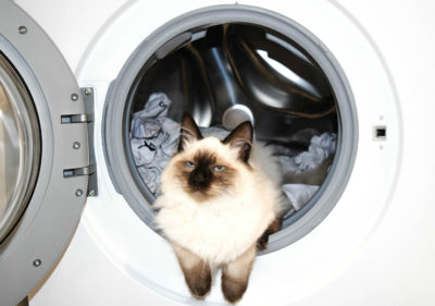 Как пользоваться стиральной машиной