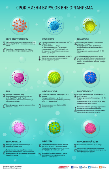 Срок жизни вирусов-инфографика