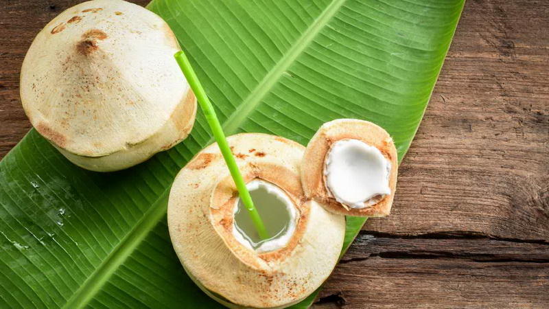 coconut-photo