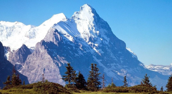 Блог Comfy - Корисні поради. Обзори техніки, гаджетів, смартфонів ...