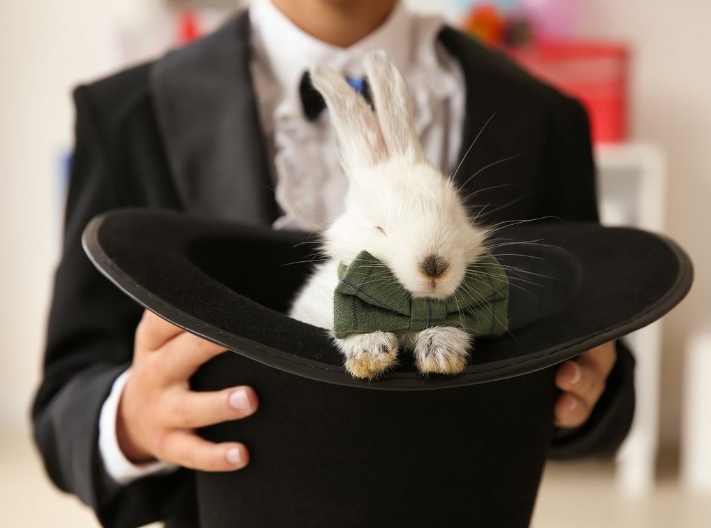Кролик-в шляпе
