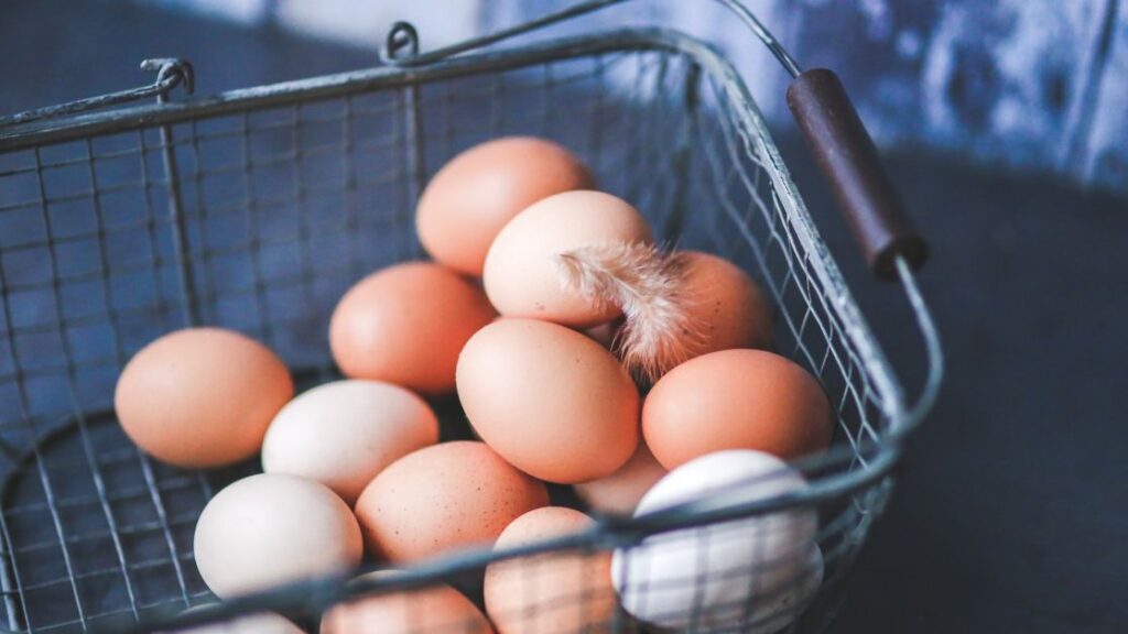 Як визначити, що куряче яйце зіпсувалося