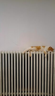 Як зігрітися у